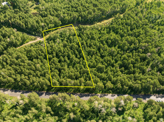5146 North Pne Cyn Road, Unit 4A1 Park City, UT 84060 - Photo 3 of 15