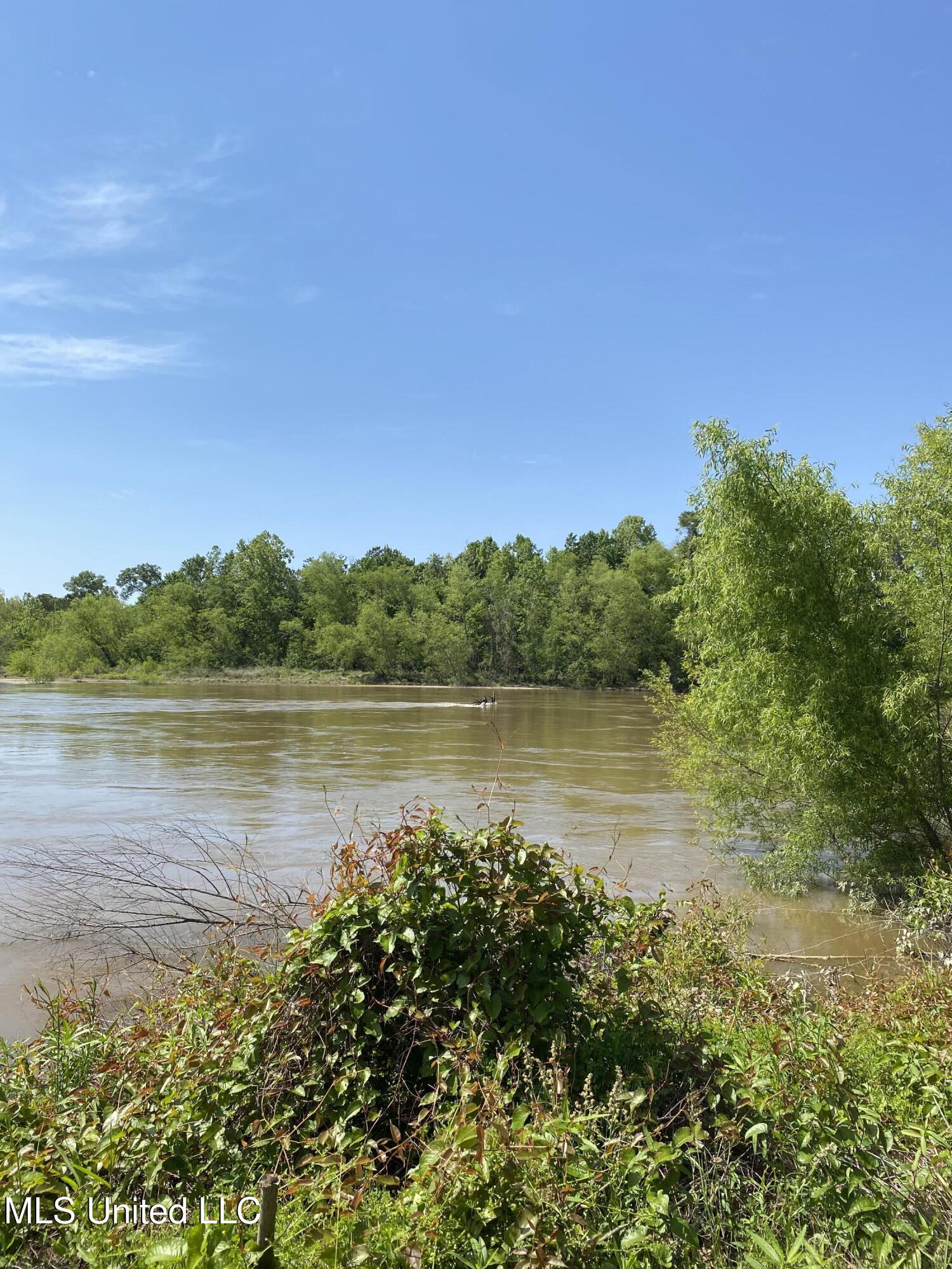 116 Parkside Drive Picayune, MS 39466 - Photo 5 of 11 4 IMG_3252