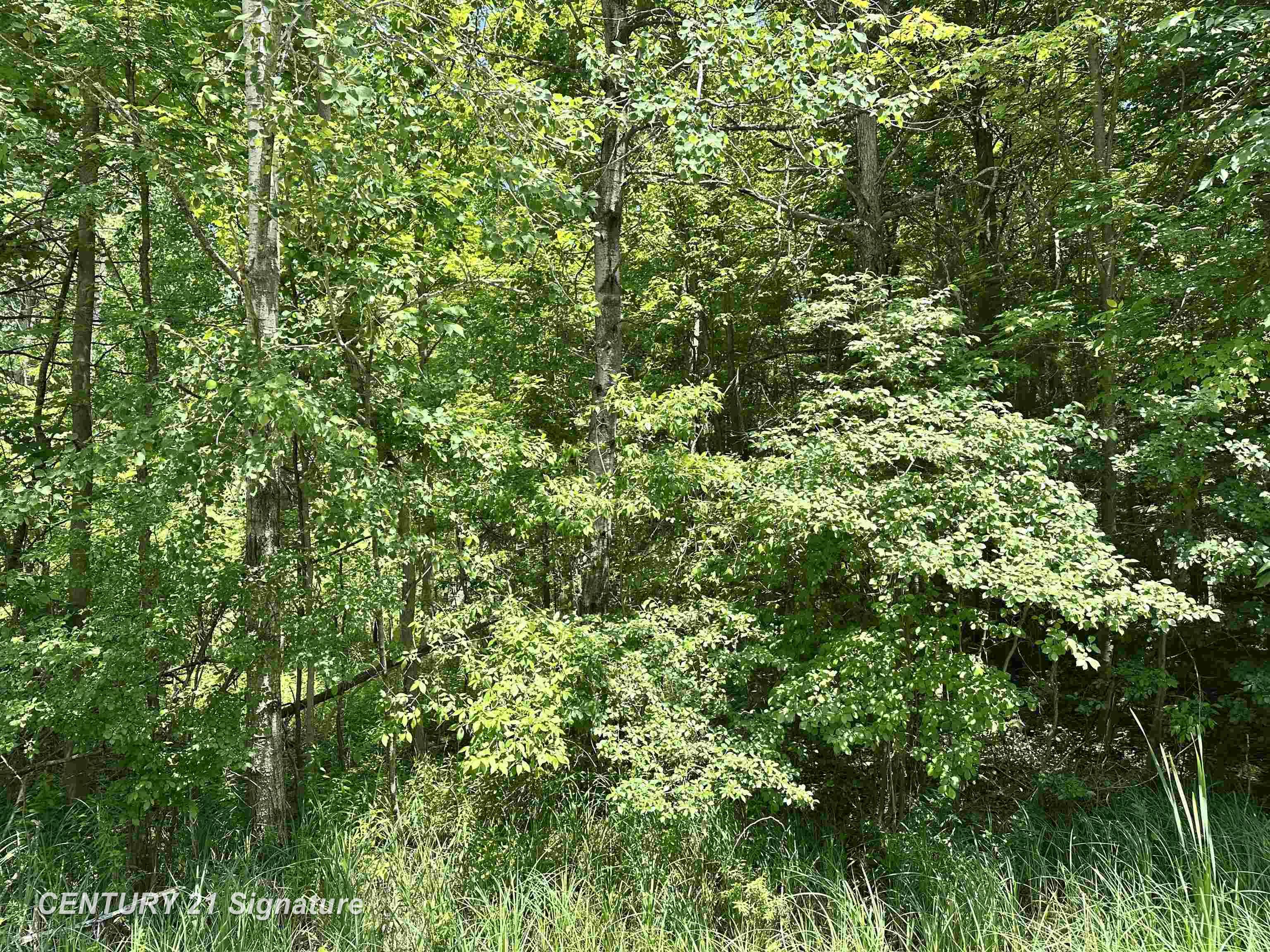 Vl Pinconning Road Beaverton, MI 48612 - Photo 1 of 4