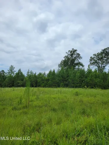 $125,000 | 13 Highway 13, Columbia, MS 39429