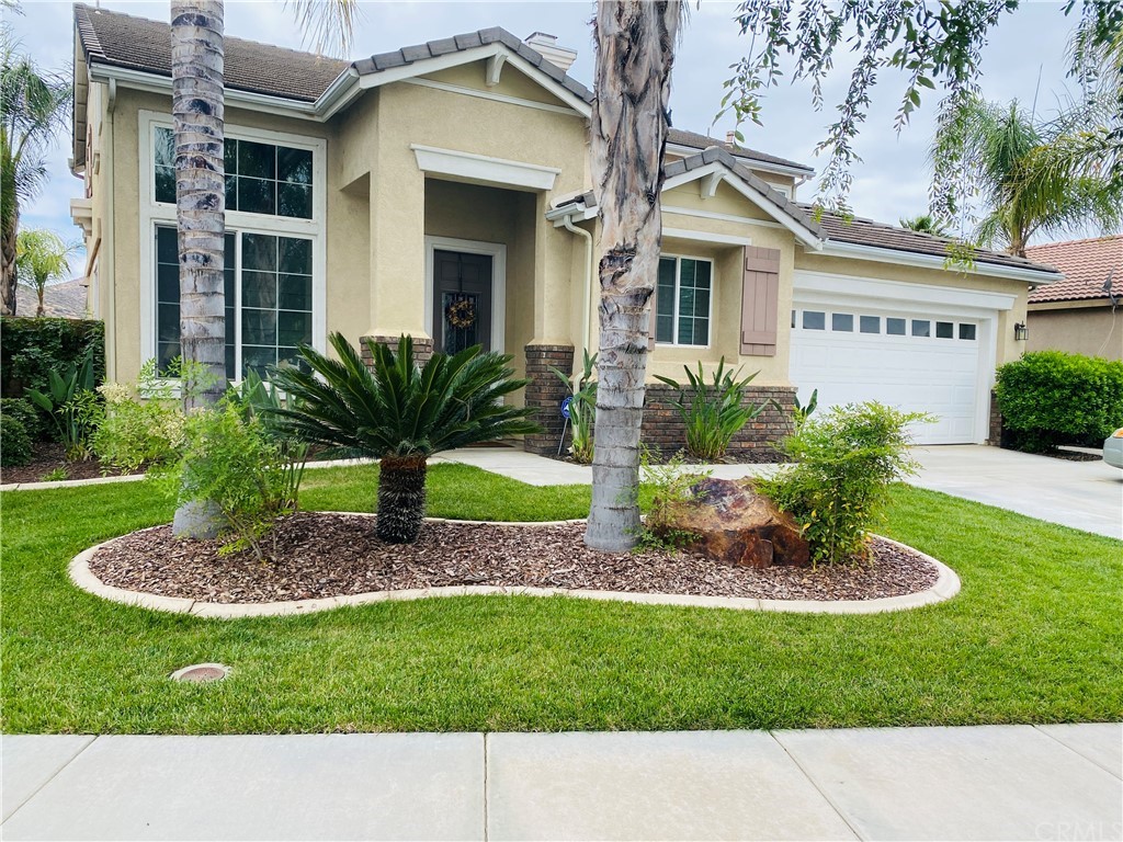 a picture of a house with a small yard plants and large tree