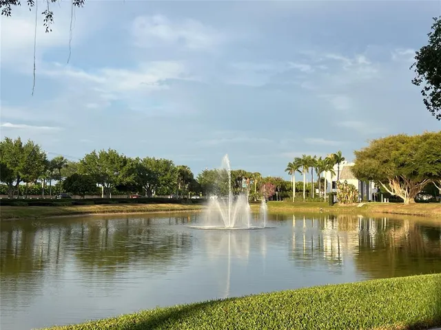 a view of a bunch of flowers