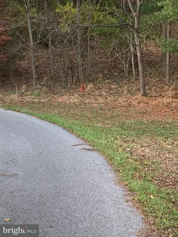 a view of a yard with large trees