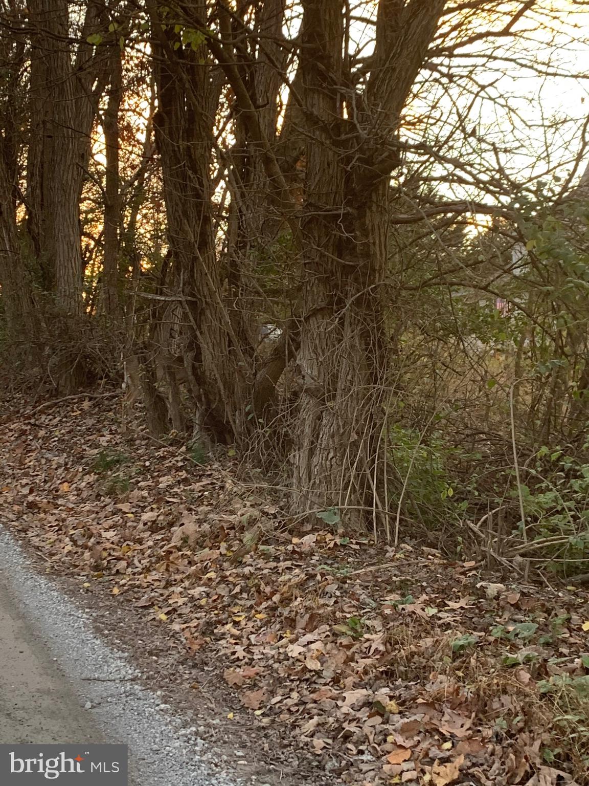 Leppo Road Westminster, MD 21158 - Photo 5 of 5