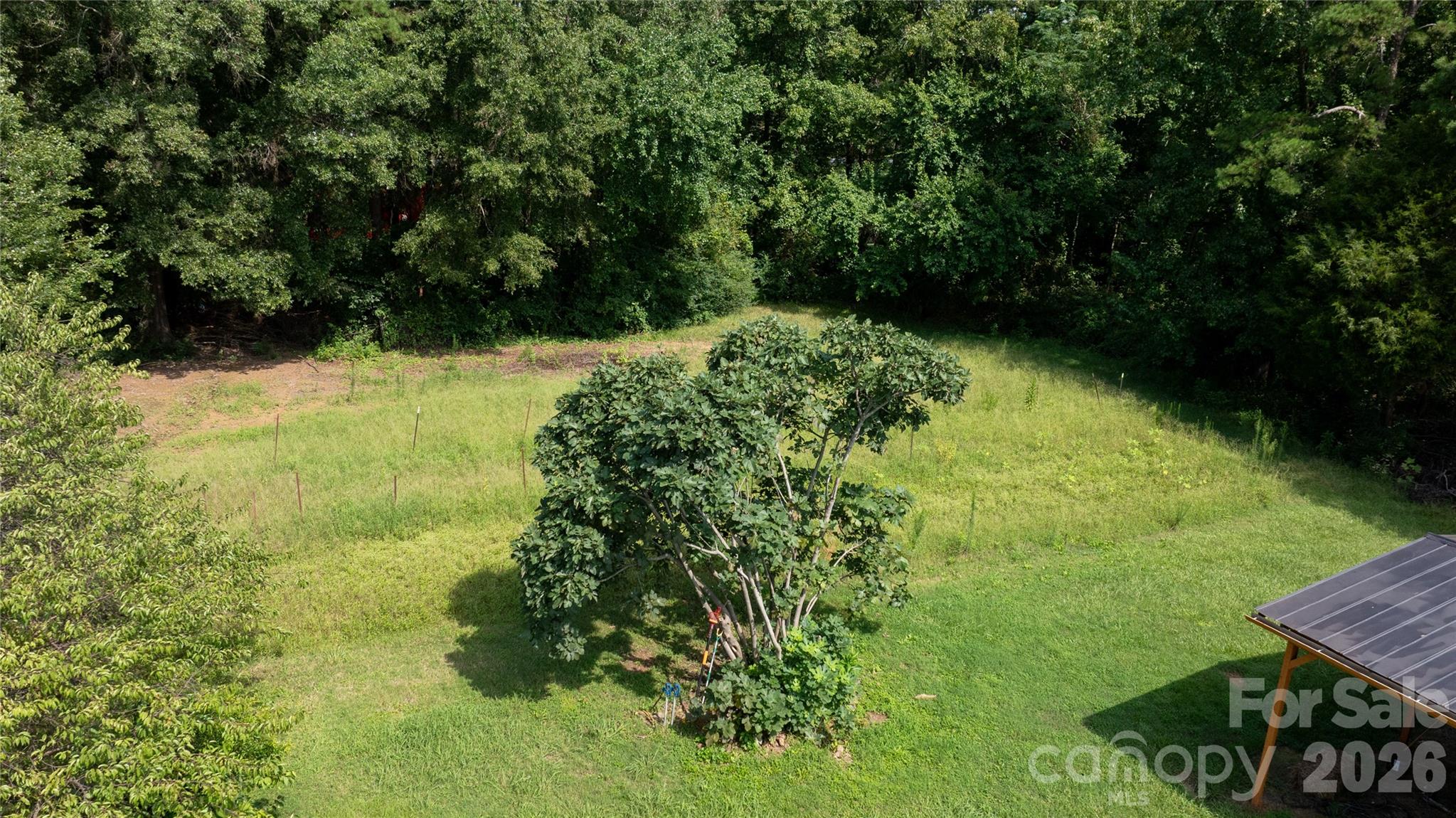 20402 Norton Road Albemarle, NC 28001 - Photo 14 of 34 a view of yard from outdoor space