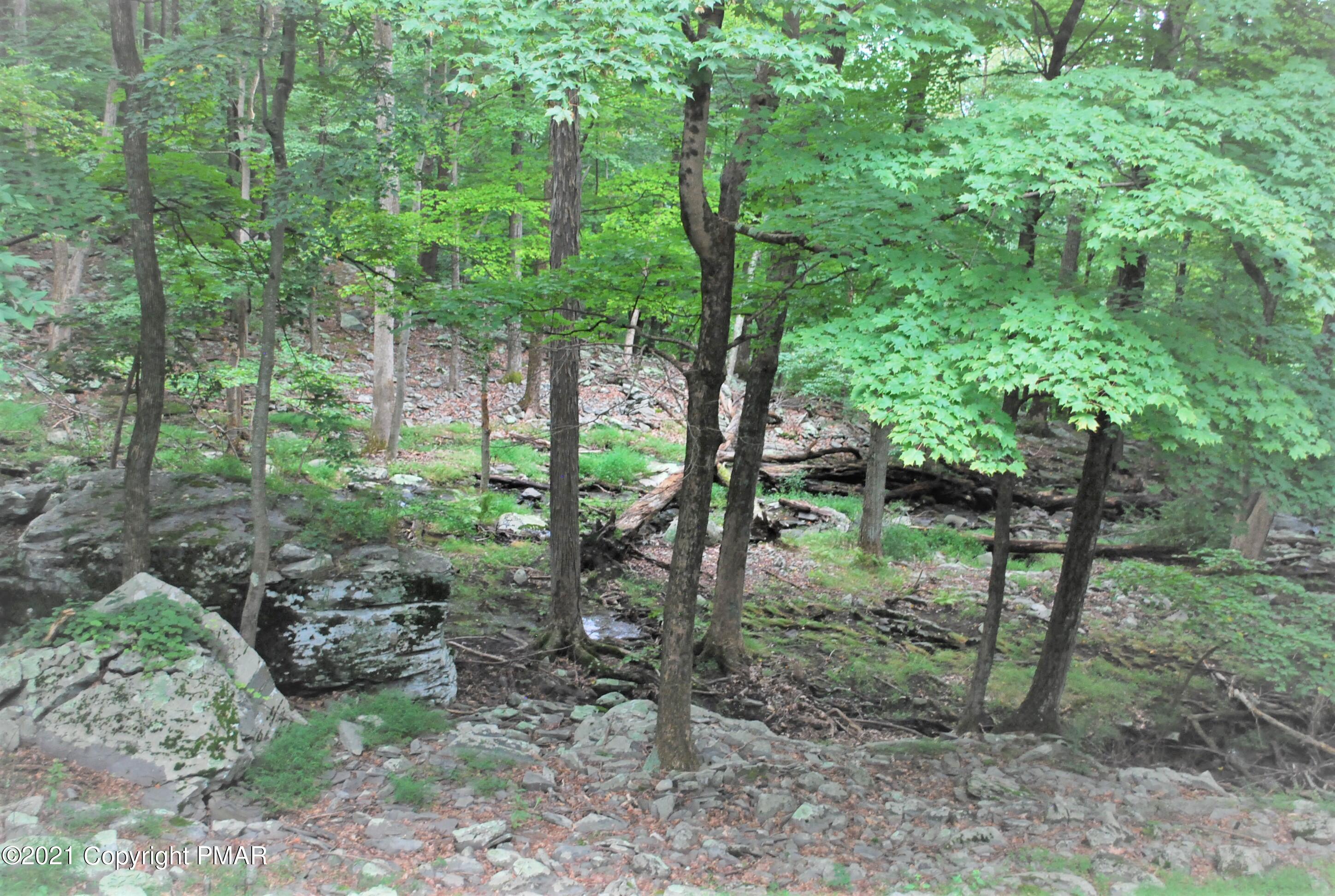 178 Edinburgh Road Bushkill, PA 18324 - Photo 52 of 54 a big yard with lots of green space and trees
