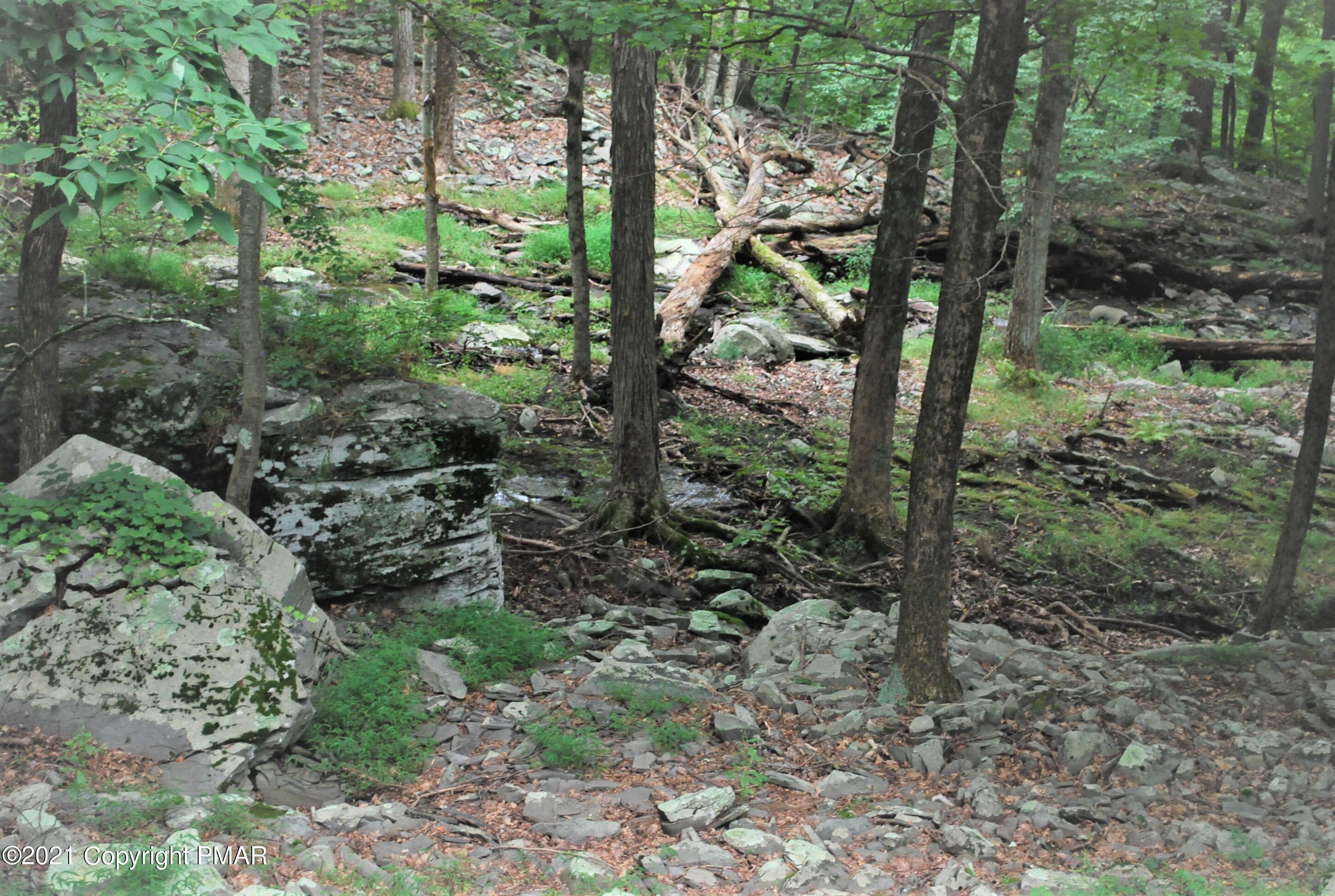 178 Edinburgh Road Bushkill, PA 18324 - Photo 53 of 54 a view of a forest that has large trees