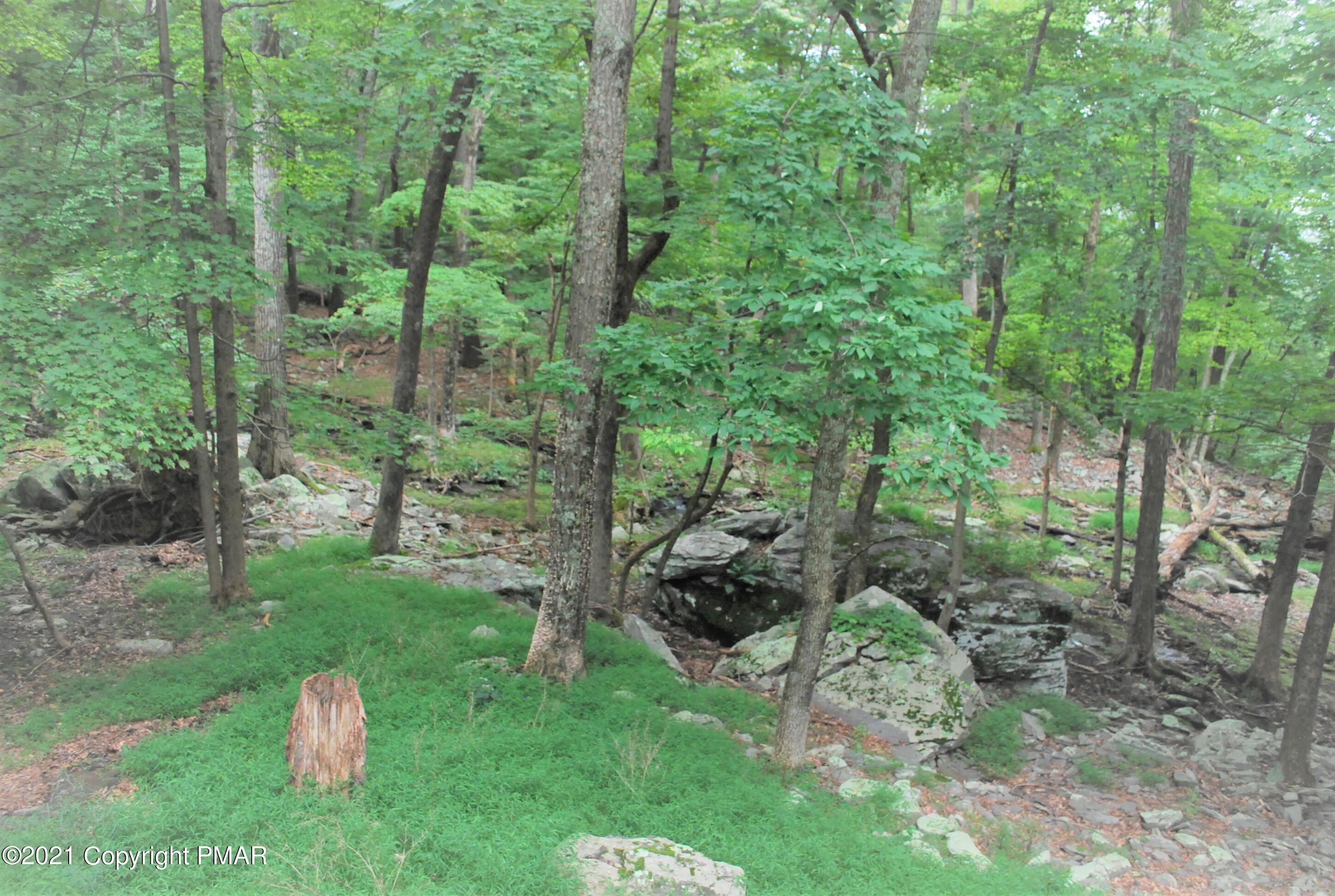 178 Edinburgh Road Bushkill, PA 18324 - Photo 54 of 54 View From Back Deck