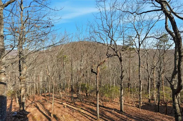 a view of a backyard of the house