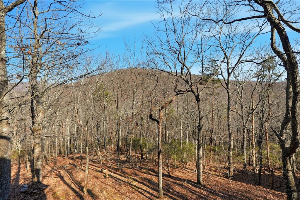 408 Alpine Drive Jasper, GA 30143 - Photo 24 of 42 a view of a backyard of the house