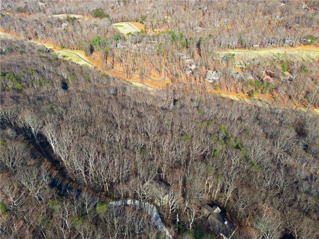 408 Alpine Drive Jasper, GA 30143 - Photo 26 of 42 a view of lake with green space