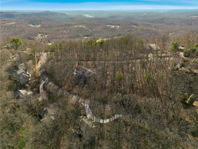 a view of a city with green space