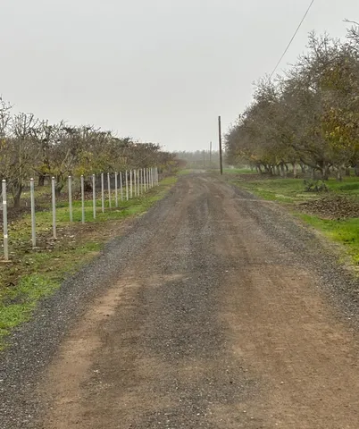 a view of a field with an trees