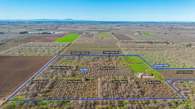 view of a brick wall