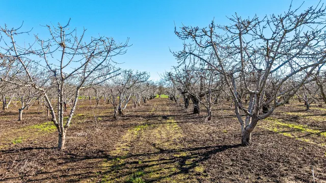 a view of an ocean beach