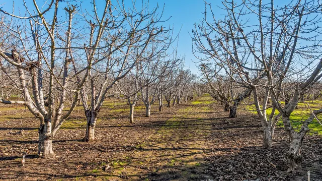 a view of an ocean beach