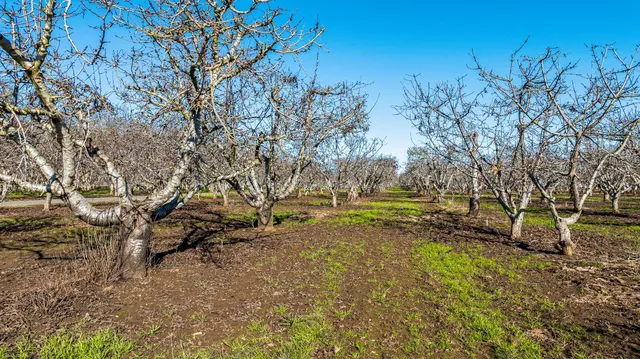 a view of a lake view