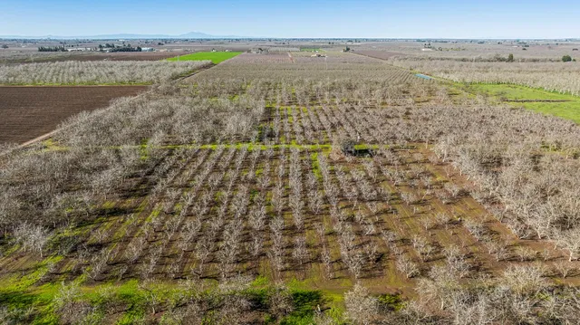 a view of a chairs and table in the garden