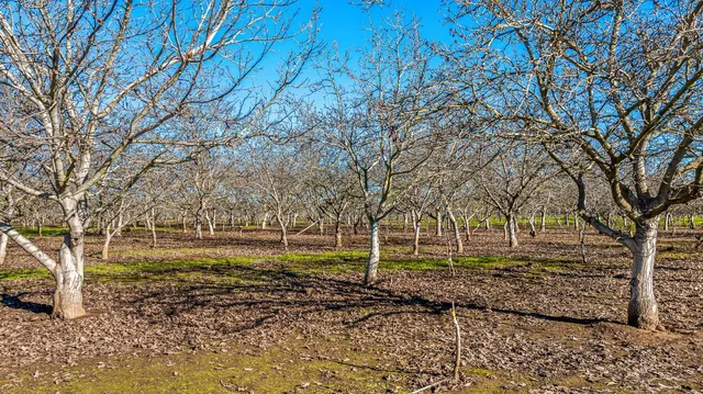 a view of an ocean from a balcony
