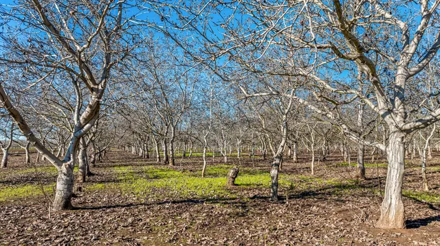 a view of city and ocean