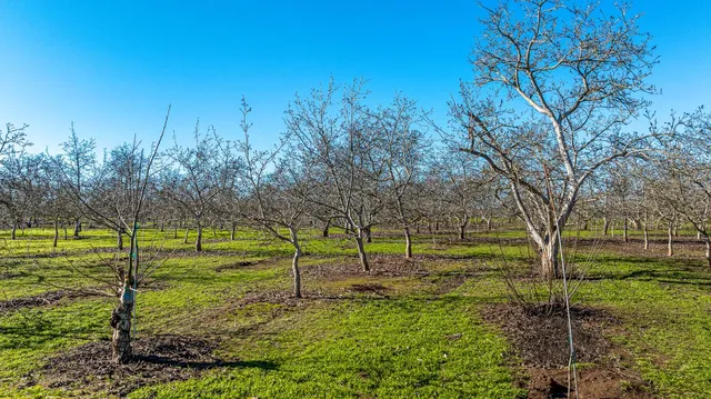 a view of an ocean beach