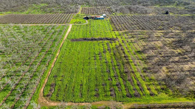 a view of an ocean beach