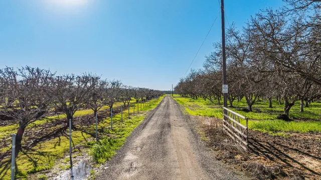 a view of a pathway with a yard