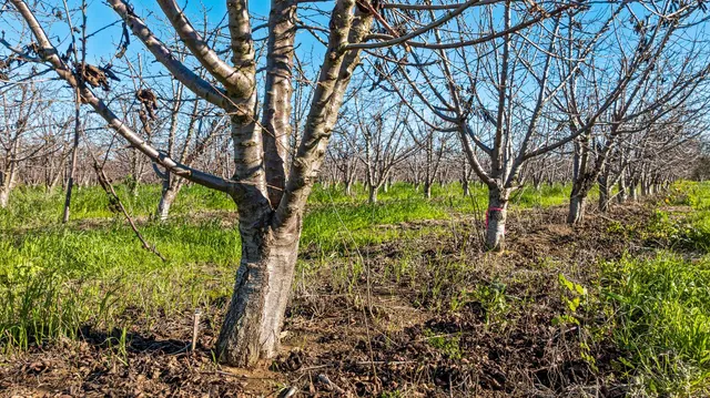 a view of an outdoor space and ocean view