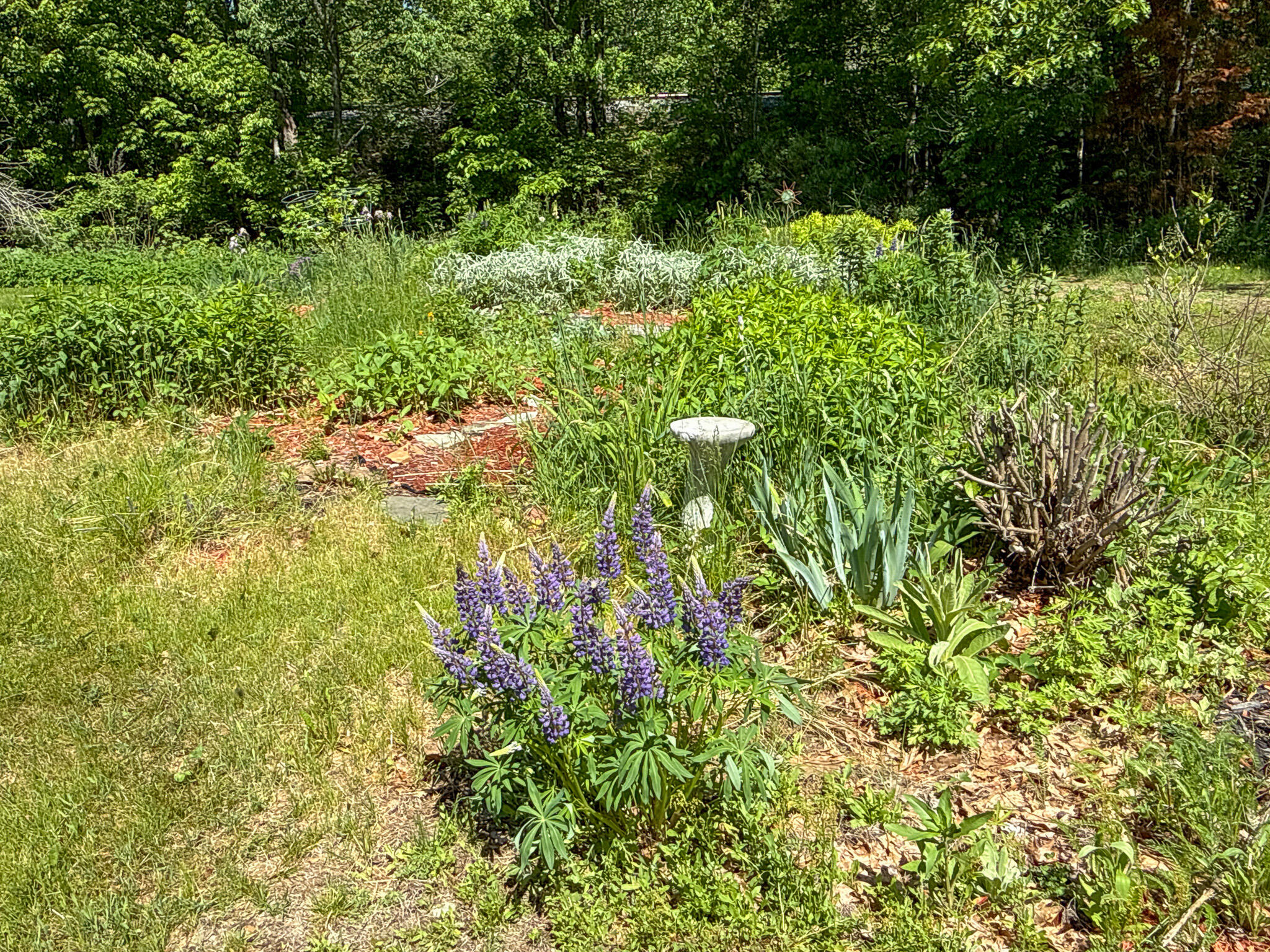 48 River Road Mattawamkeag, ME 04459 - Photo 34 of 35 33