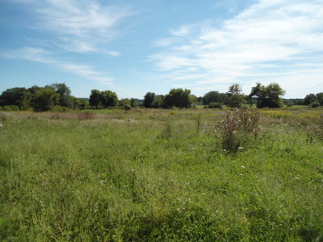 615 West Devils Backbone Road Oregon, IL 61061 - Photo 12 of 12