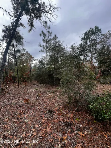 $11,900 | 307 Lemon Street, Interlachen, FL 32148