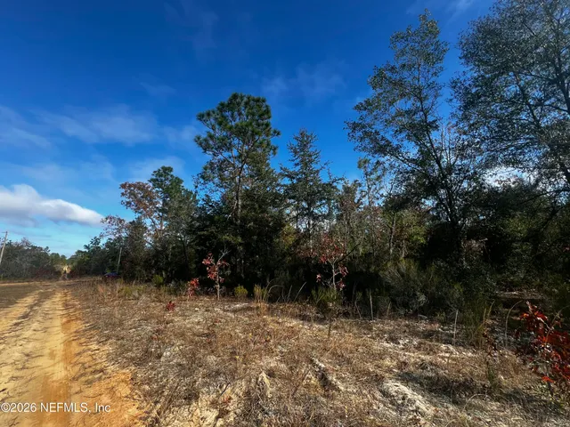 $11,900 | 307 Lemon Street, Interlachen, FL 32148