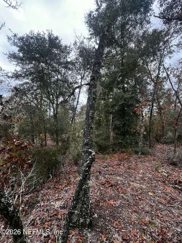 $11,900 | 307 Lemon Street, Interlachen, FL 32148