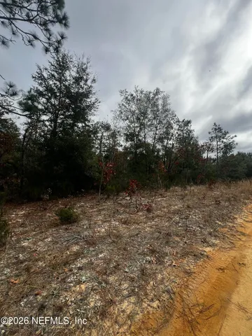 $11,900 | 307 Lemon Street, Interlachen, FL 32148