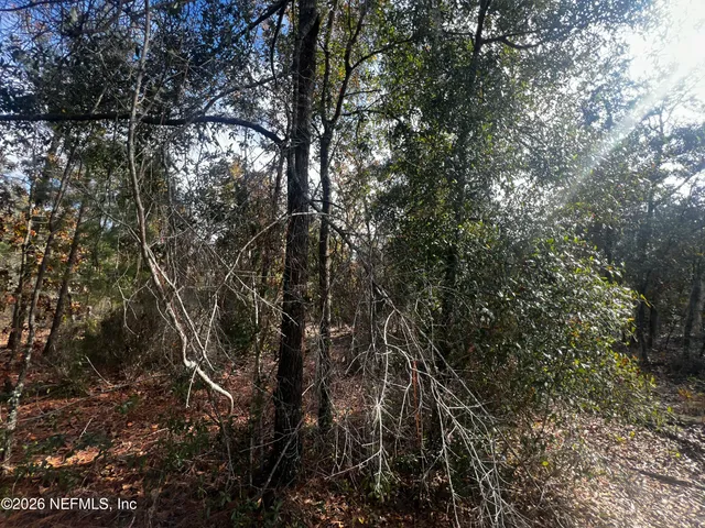 $11,900 | 307 Lemon Street, Interlachen, FL 32148