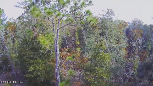 $11,900 | 307 Lemon Street, Interlachen, FL 32148