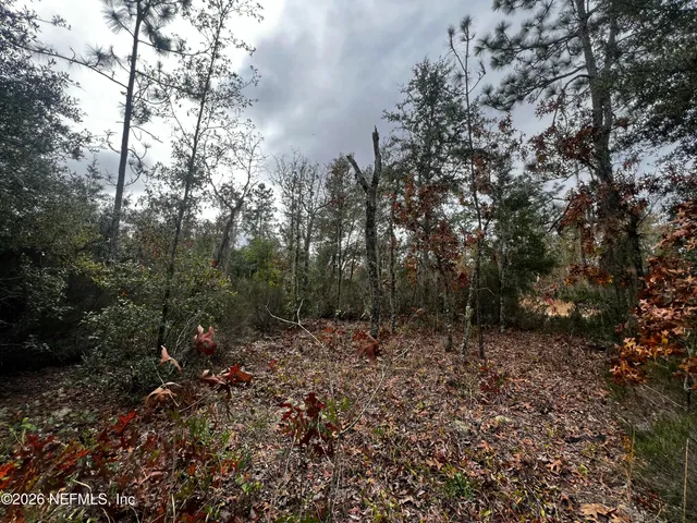 $11,900 | 307 Lemon Street, Interlachen, FL 32148