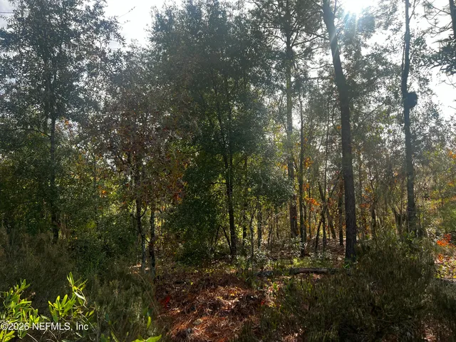 $11,900 | 307 Lemon Street, Interlachen, FL 32148