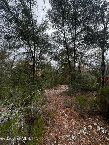 $11,900 | 307 Lemon Street, Interlachen, FL 32148