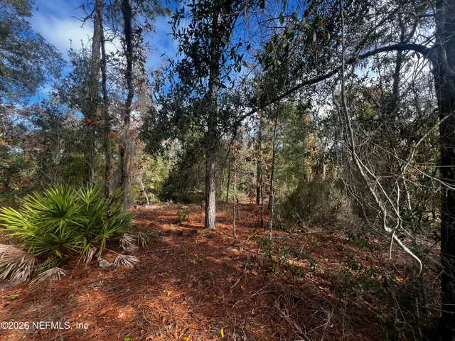 $11,900 | 307 Lemon Street, Interlachen, FL 32148