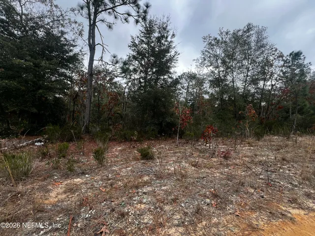 $11,900 | 307 Lemon Street, Interlachen, FL 32148