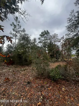 a view of a dry yard with lots of bushes