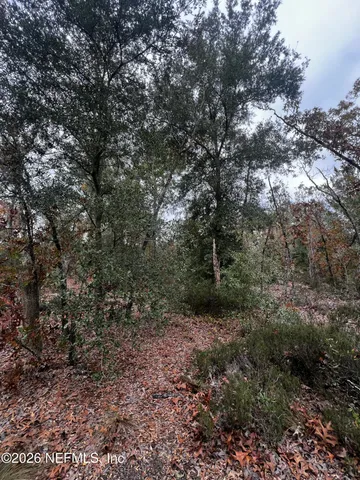 $11,900 | 307 Lemon Street, Interlachen, FL 32148