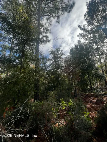 $11,900 | 307 Lemon Street, Interlachen, FL 32148