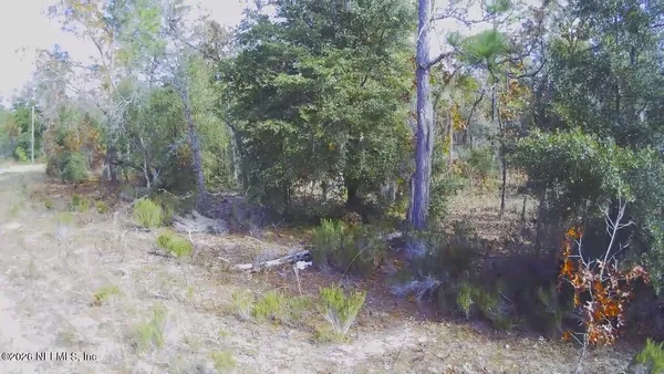 a view of a field of grass and trees