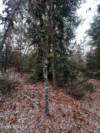 a view of outdoor space with trees