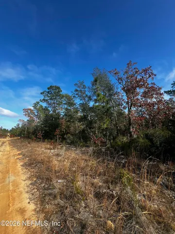 $11,900 | 307 Lemon Street, Interlachen, FL 32148