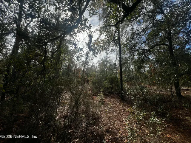 $11,900 | 307 Lemon Street, Interlachen, FL 32148