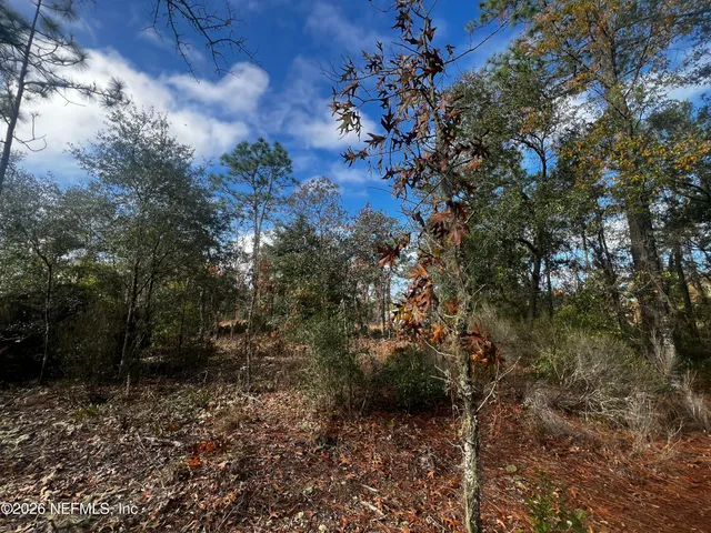 $11,900 | 307 Lemon Street, Interlachen, FL 32148