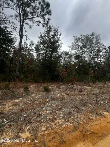 $11,900 | 307 Lemon Street, Interlachen, FL 32148